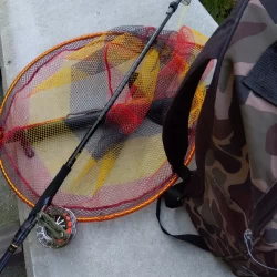 久しぶりの落とし込み