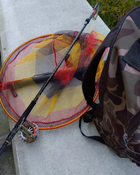 久しぶりの落とし込み