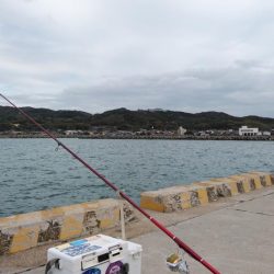 都志港へリベンジ釣行