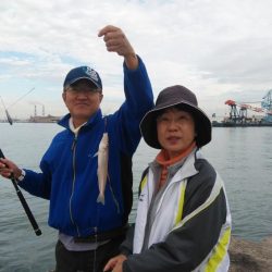 播磨新島のキス調査