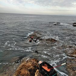 フカセ‥最高ですネ・・