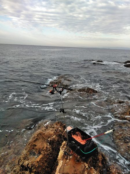 フカセ‥最高ですネ・・