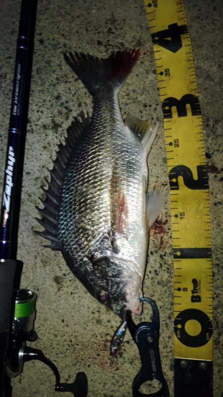 ぶら河川調査！！