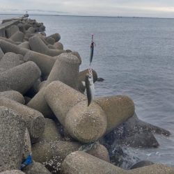 雨降りで、小潮ですが・・・