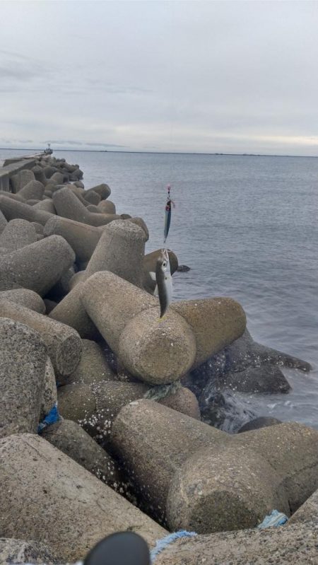雨降りで、小潮ですが・・・