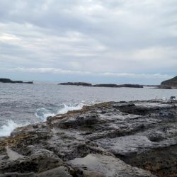 和歌山市江（吉丸渡船）で磯フカセ