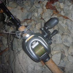 秋のブラックバス