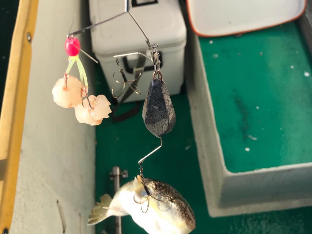 明石ショウサイ