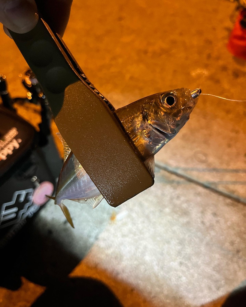 いつもの場所で♪