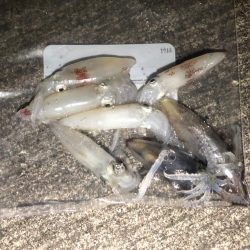 渋いけどいる！