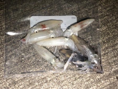 渋いけどいる！