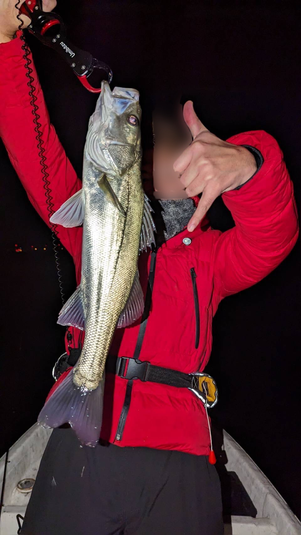 ボートシーバス