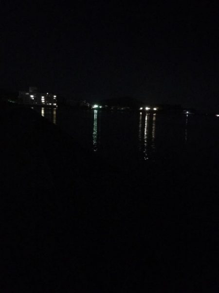 アオリイカ!結構いいサイズ!