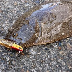 続・フラット狙いで