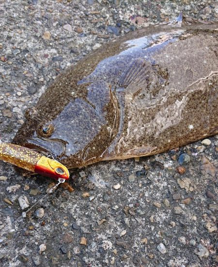 続・フラット狙いで