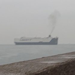 苦労した釣りの結末は…