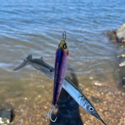 トップウォーターのはずが…