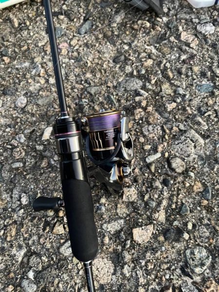 アジングシーズン 好調