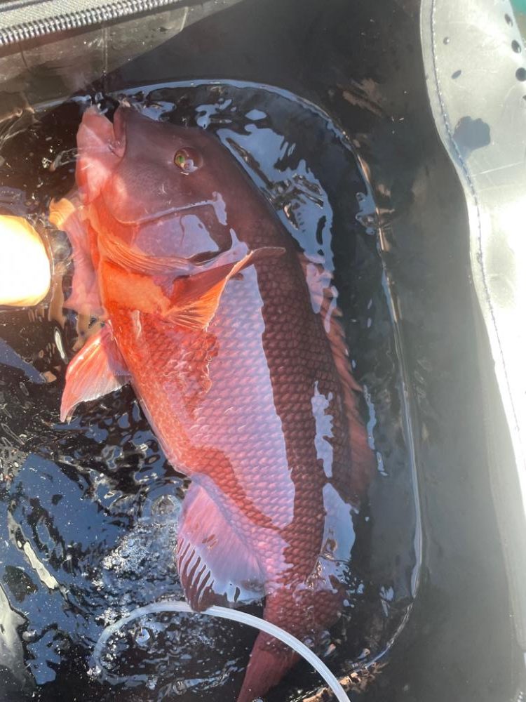 グレ釣り〜TKTYF TEAM杯〜