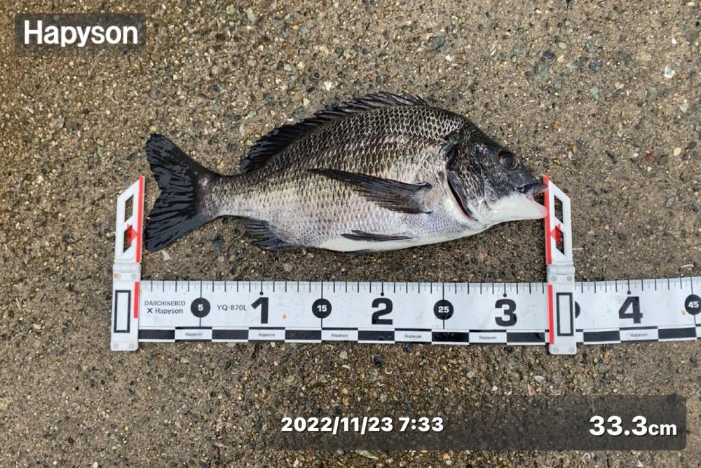 良い型を目指して