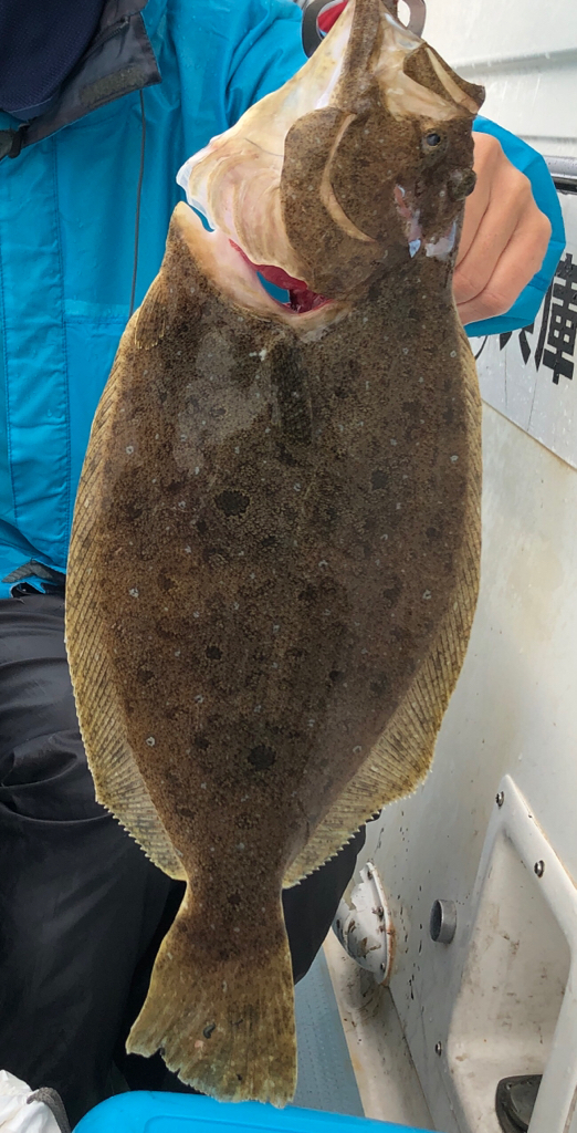 ジギングで三目達成！