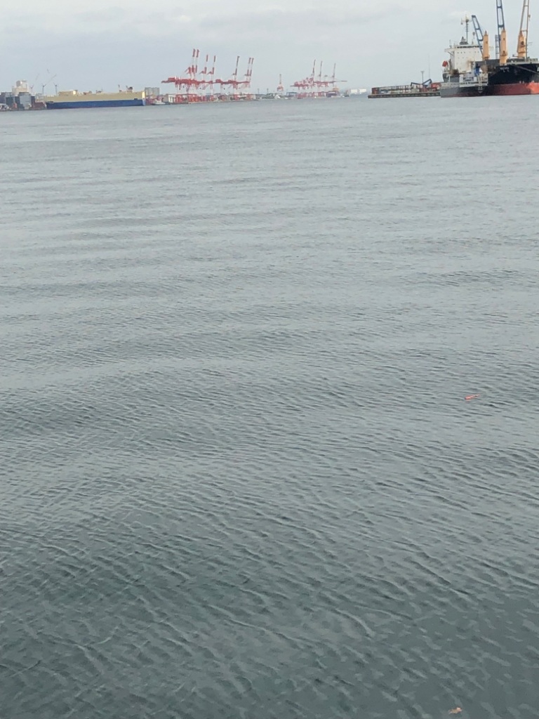 青物を求めて…