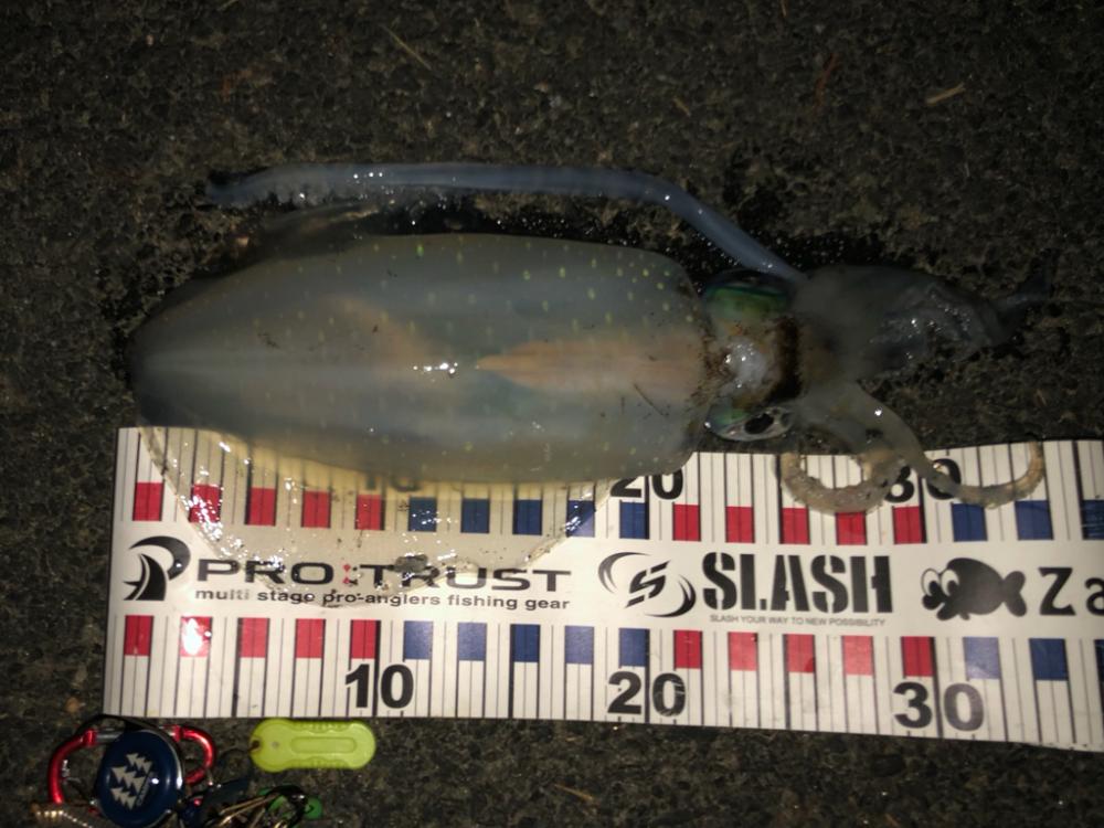 月食を見ながら……