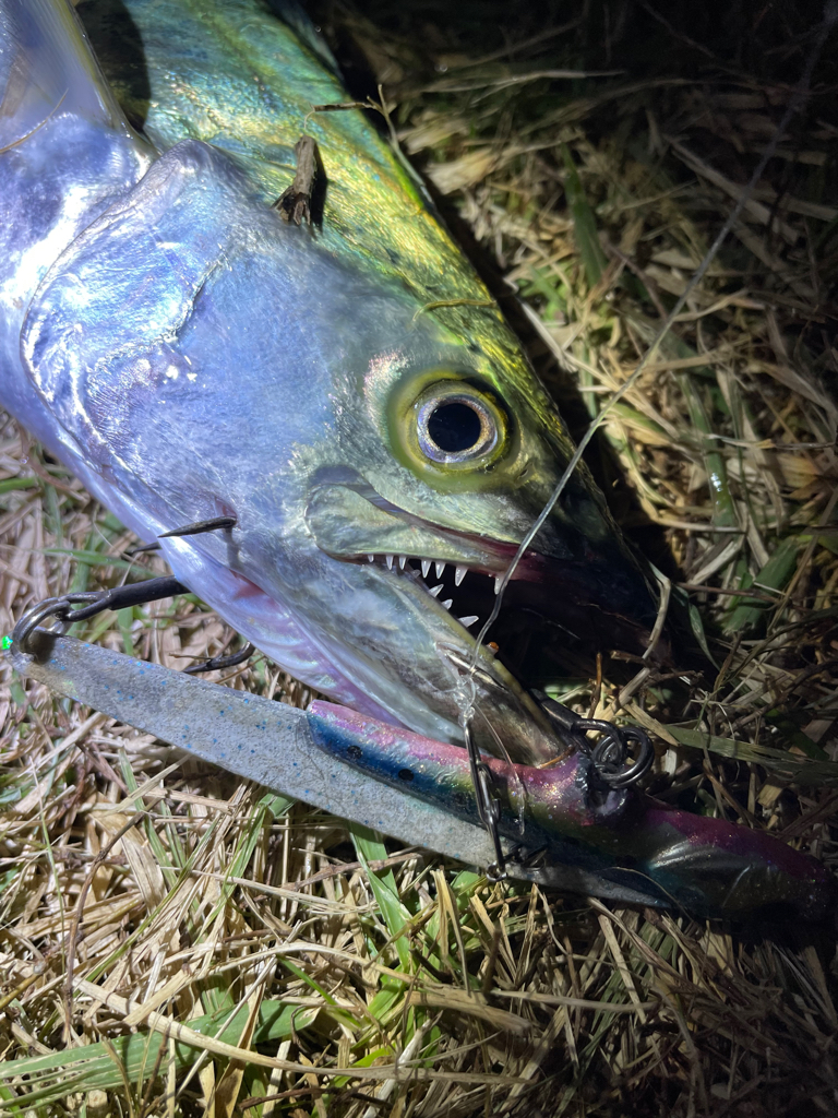 ２転び３起きトレーニング