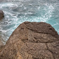 磯のハマチナブラ