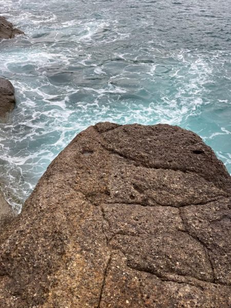 磯のハマチナブラ