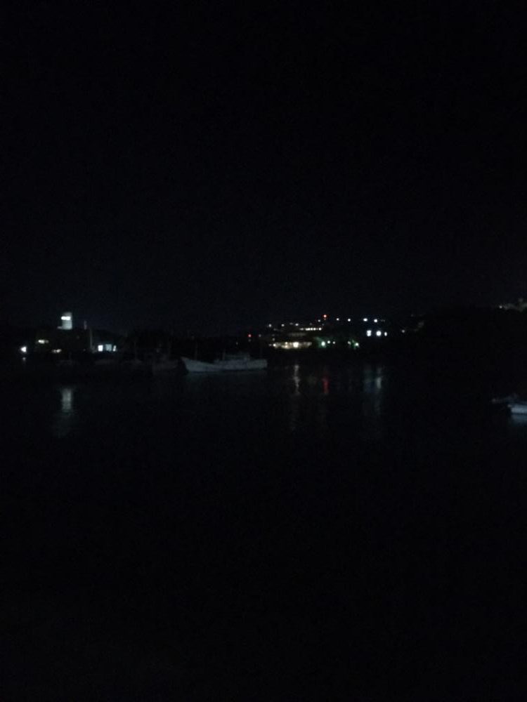 イカ釣り用のアジ!