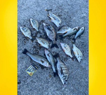 干潮の時刻に近くスタート