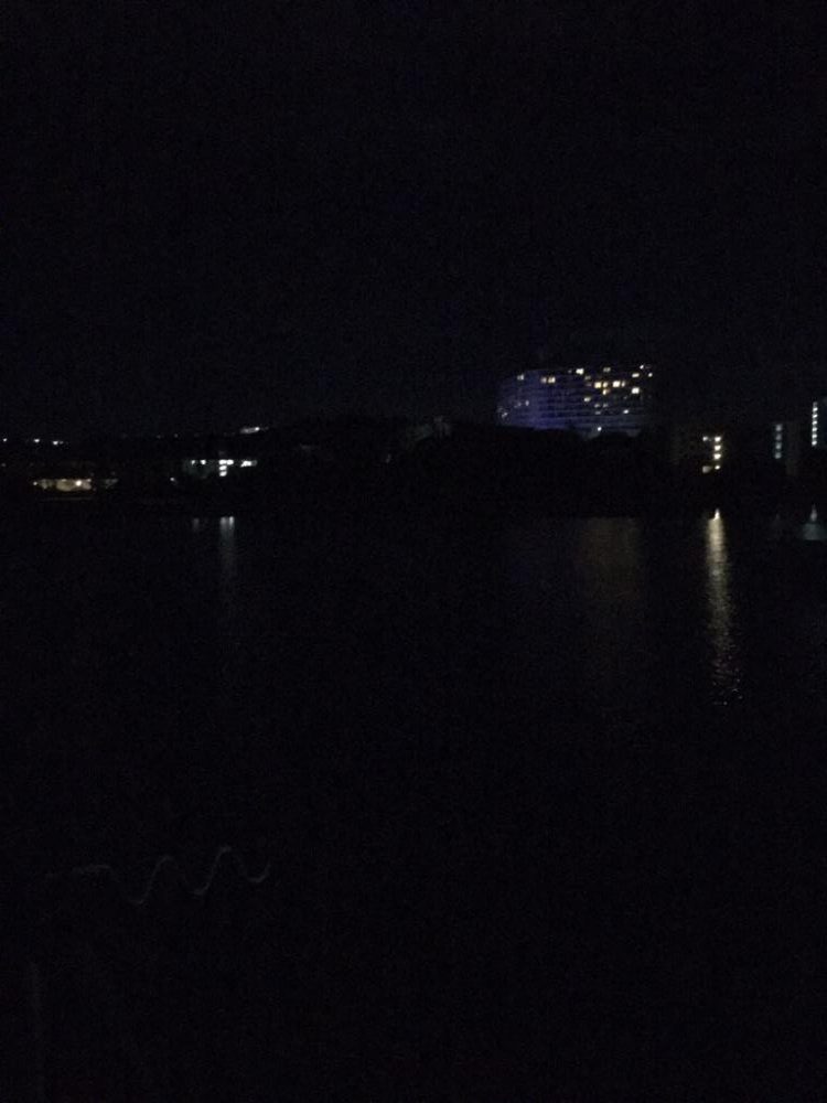 今年初の食べ頃サイズ!