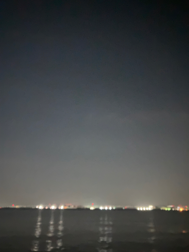 ⭐︎複雑な釣果