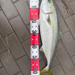 久しぶりの南港、シーサイドコスモッ…