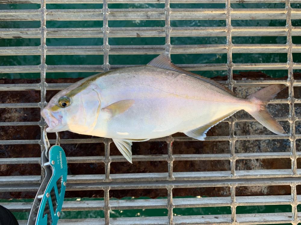 10月ラスト！！