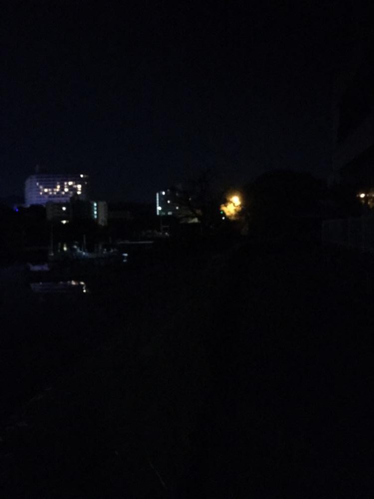 アオリイカの浮き釣り！