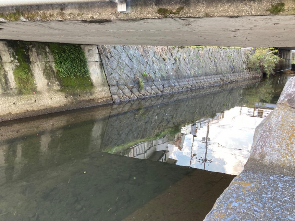 水路から続々バスが