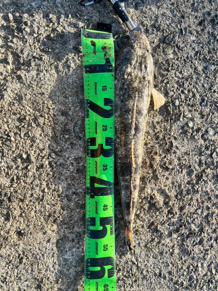 フラット！！！