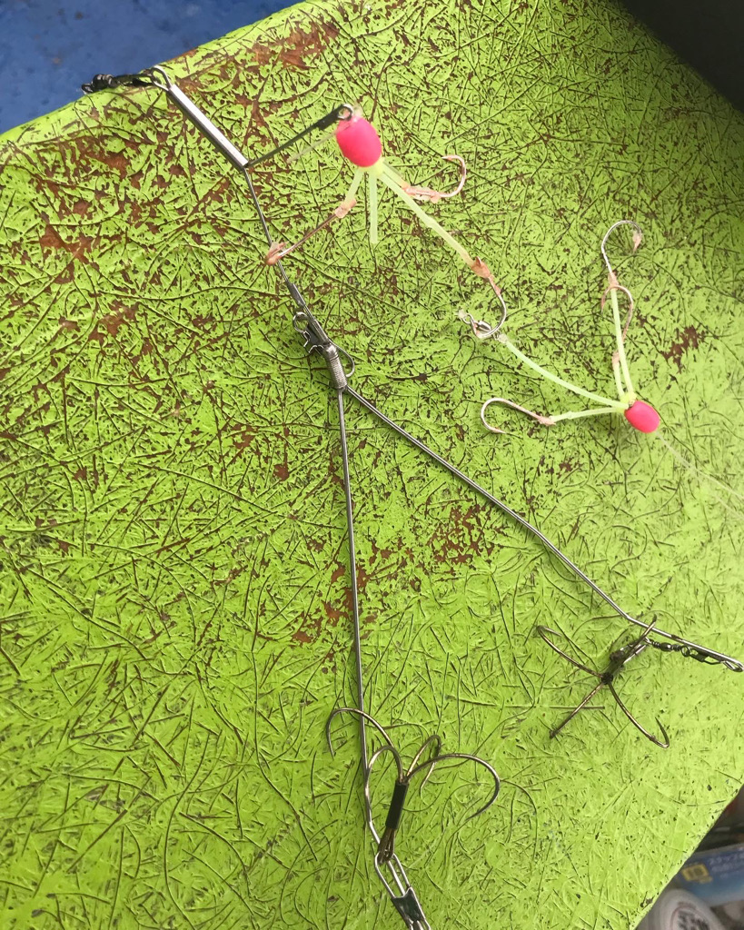 ショウサイフグ