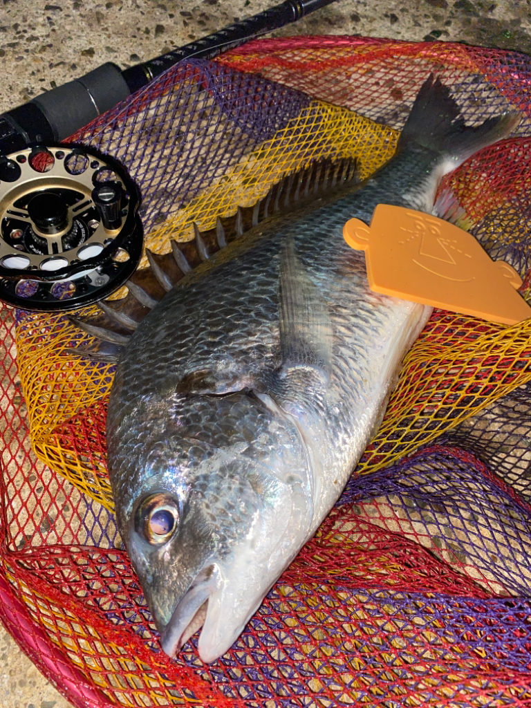 ヘチってきました