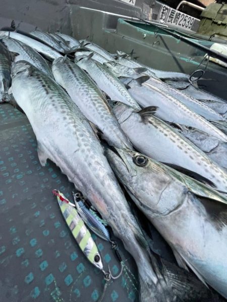 サゴシキャスティングゲーム