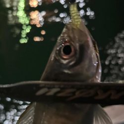 ボートアジング