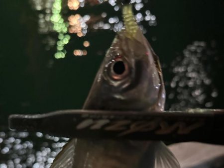 ボートアジング