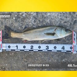 サイズが少し良く