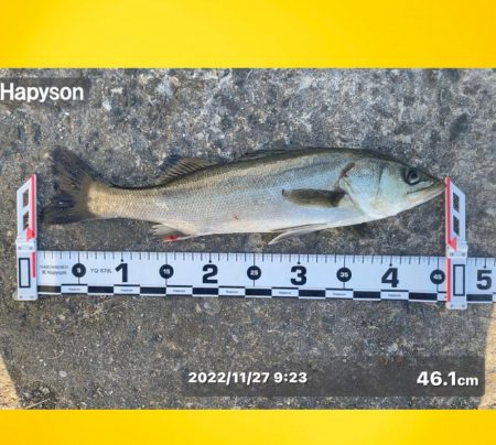 サイズが少し良く