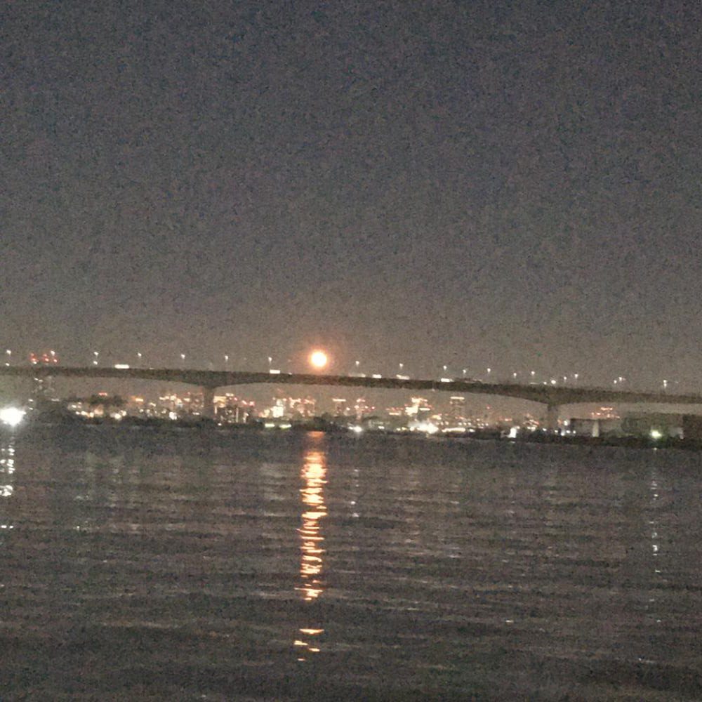 久々の浮き釣り