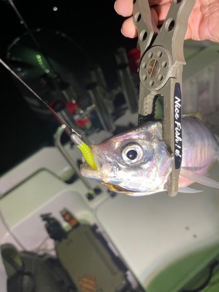 和歌山ボートアジング