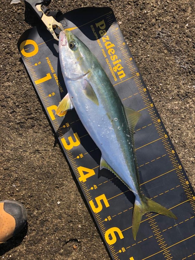 懲りずに武庫川一文字