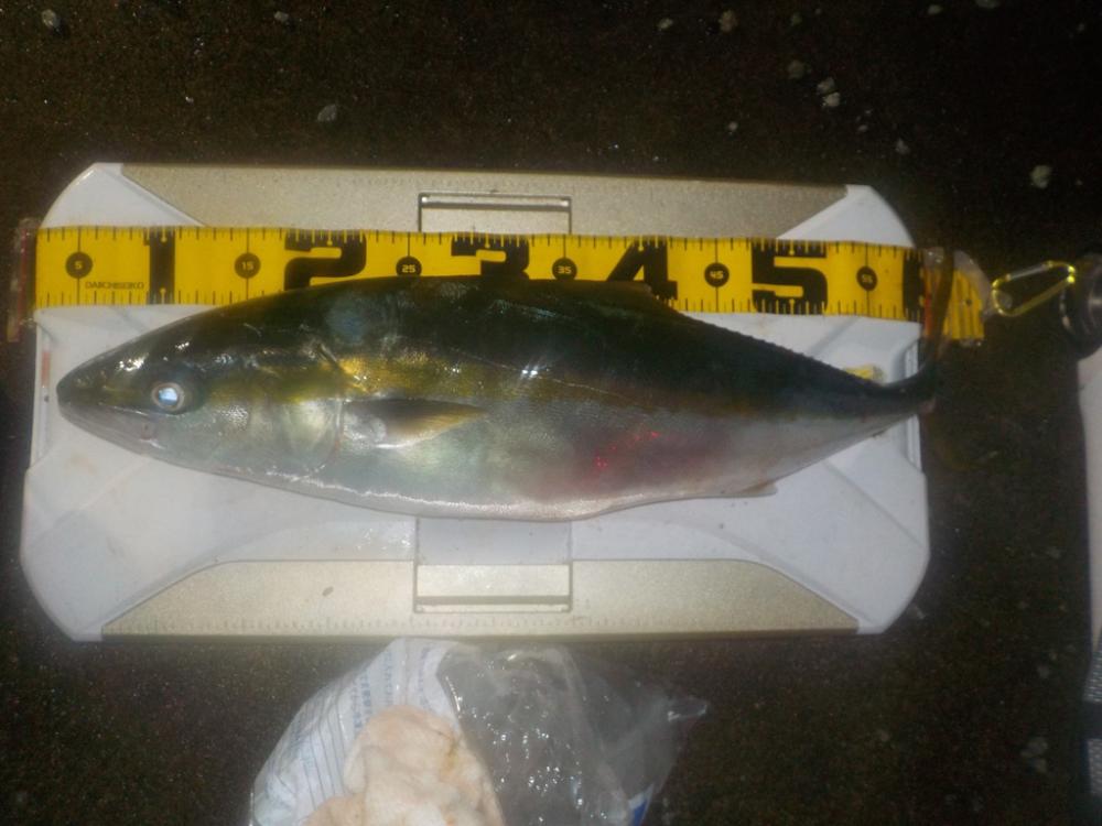 5度目の正直〜完全フカセ最高‼︎